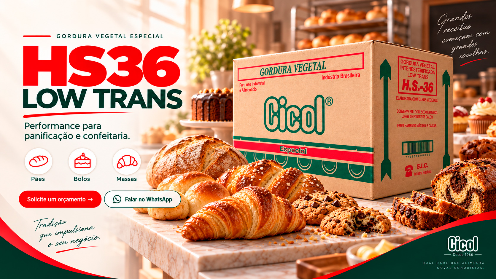 HS36 L. Trans 24kg Cicol